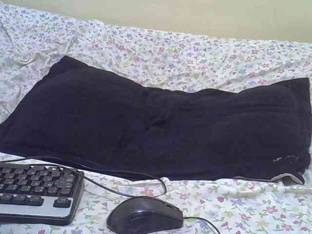 Honeysparklee webcam