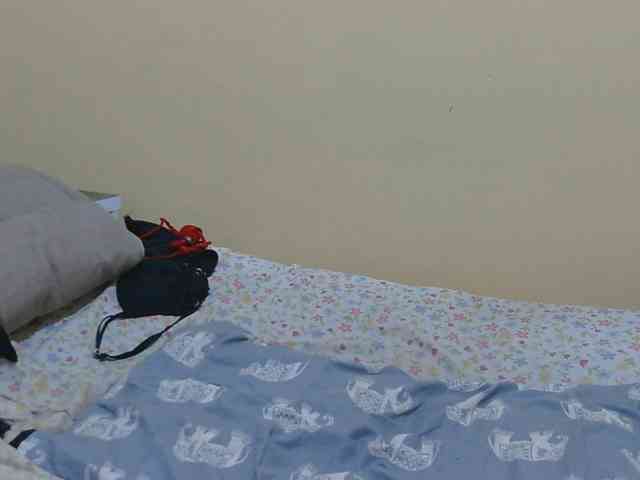 Honeysparklee webcam