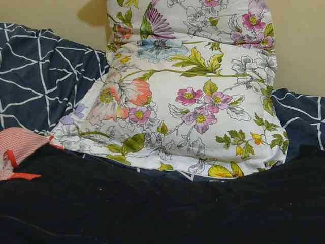 Honeysparklee webcam