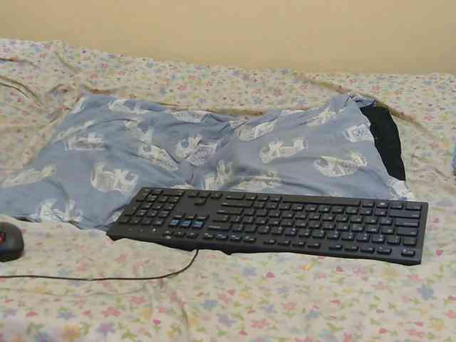 Honeysparklee webcam