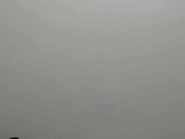 Honeysparklee webcam