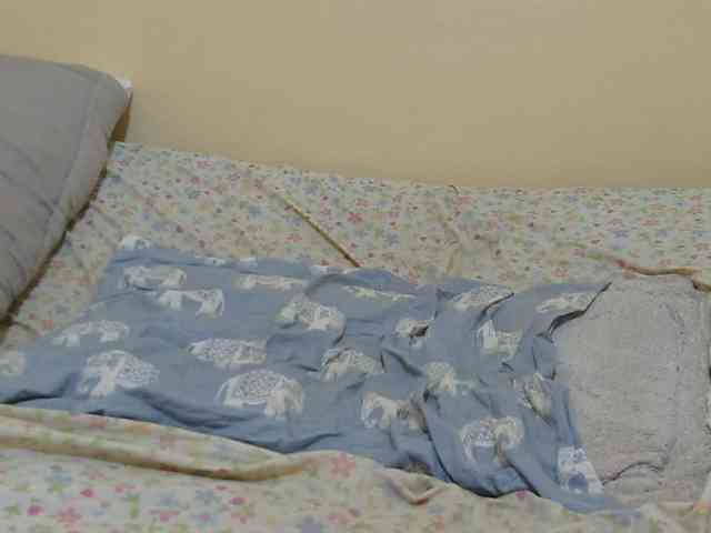 Honeysparklee webcam