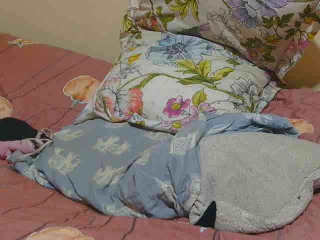 Honeysparklee webcam