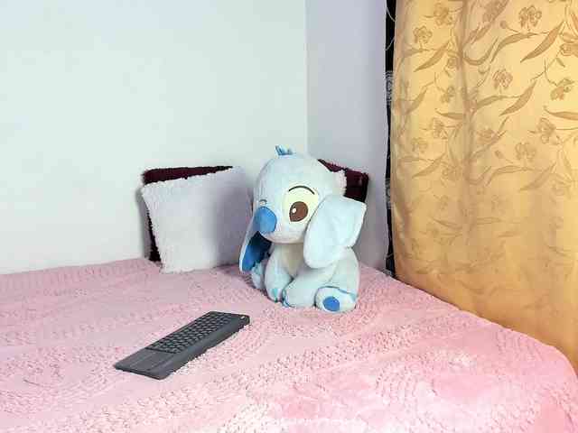 Sofi-Moon1 webcam