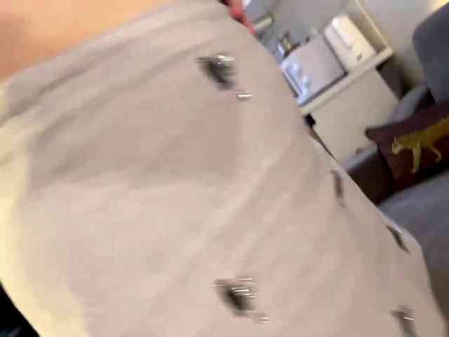 FernFlutterX webcam
