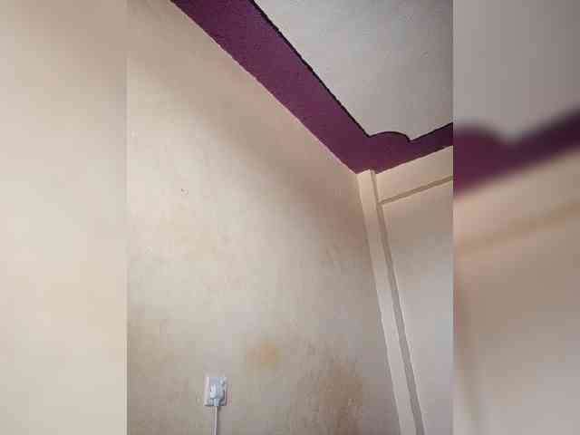 Needle29 webcam