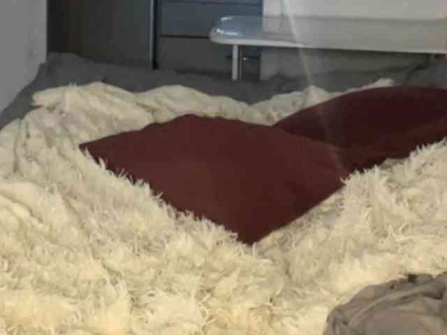 JosephinaYeaton webcam