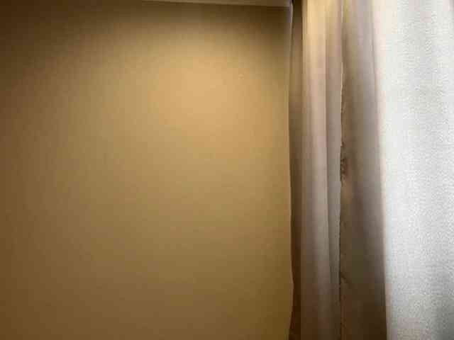 Model: JosephinaYeaton