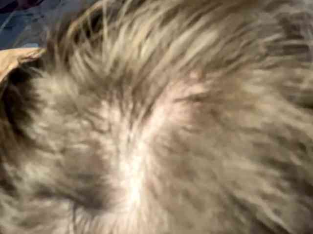 JosephinaYeaton webcam