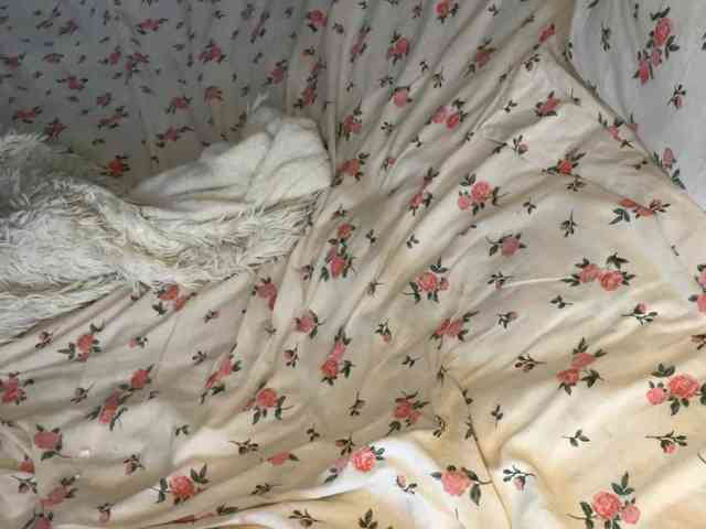 JosephinaYeaton webcam