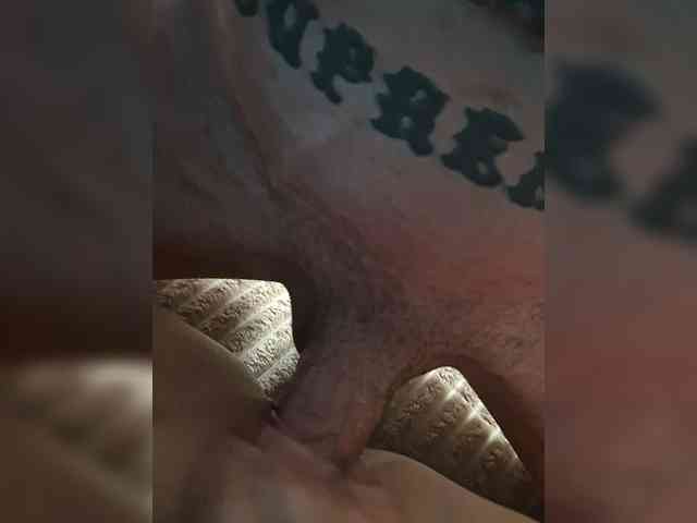 Lickybaby2168 webcam