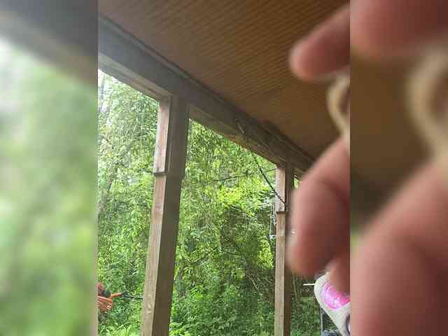 Lickybaby2168 Live Webcam on BongaCams