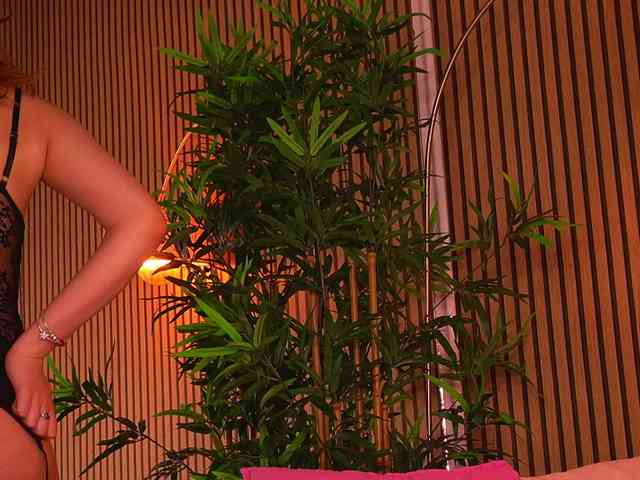 KhloeDavis