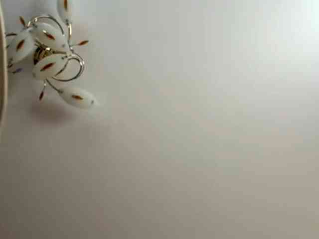 FloraSecundo webcam