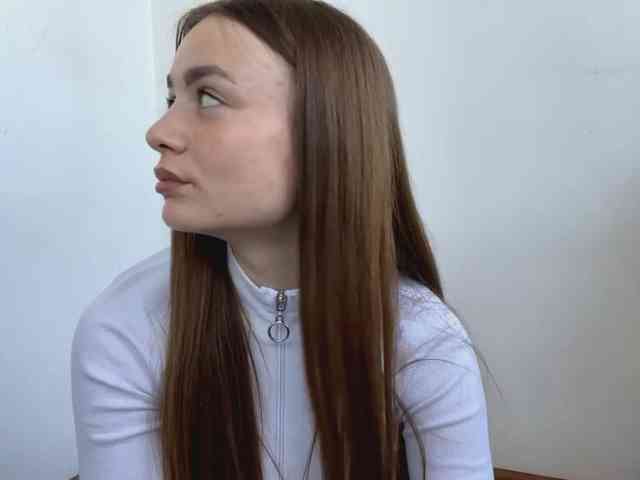TierraGloster webcam