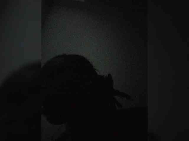 SheeRaw webcam