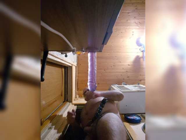 Lubimki2