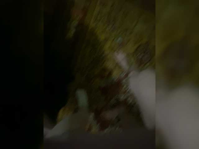 Assseldoni webcam