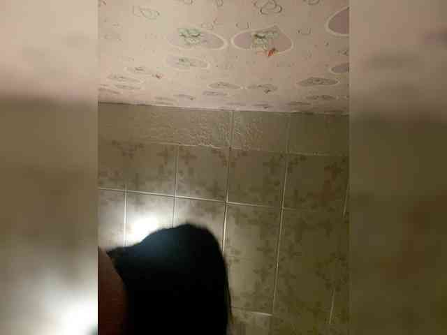 Assseldoni webcam