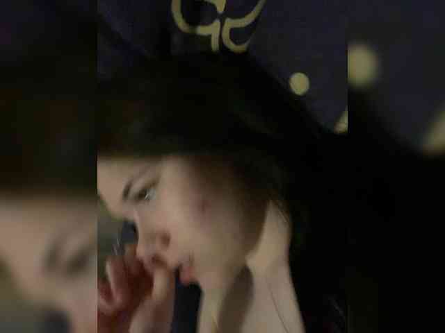 Assseldoni webcam