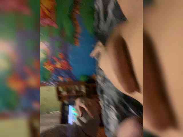 Assseldoni webcam
