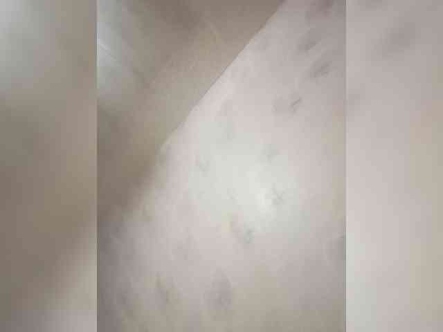Assseldoni webcam