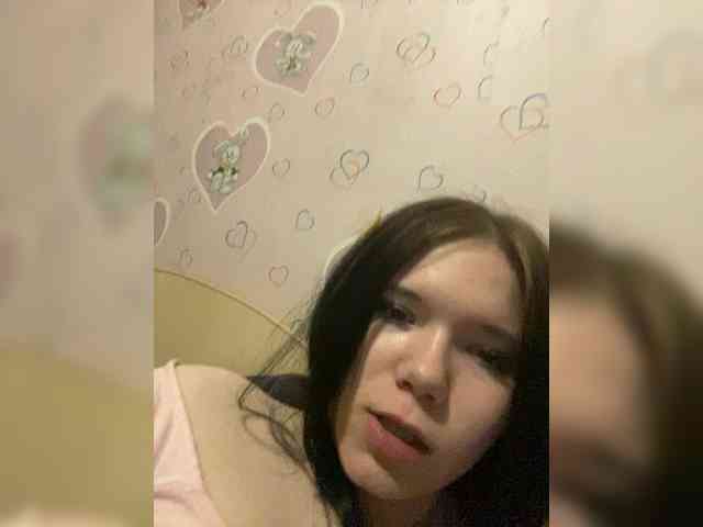 Assseldoni webcam