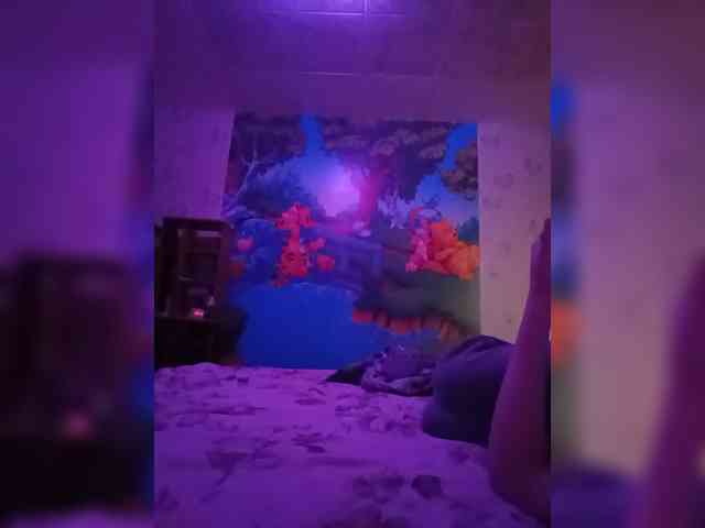 Assseldoni webcam