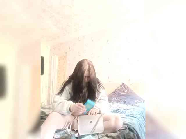 Assseldoni webcam