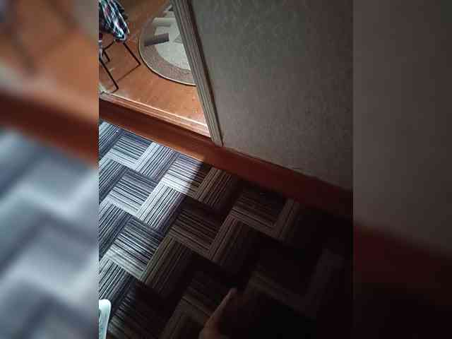 Assseldoni Live Webcam on BongaCams