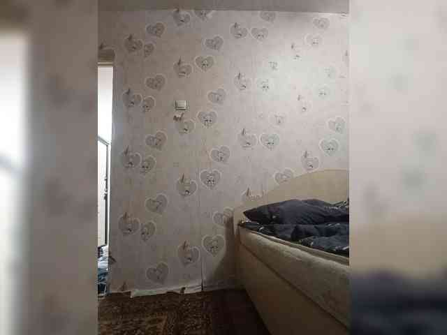 Assseldoni webcam