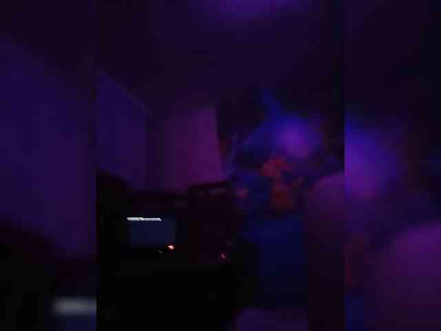 Assseldoni webcam