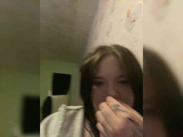 Assseldoni webcam