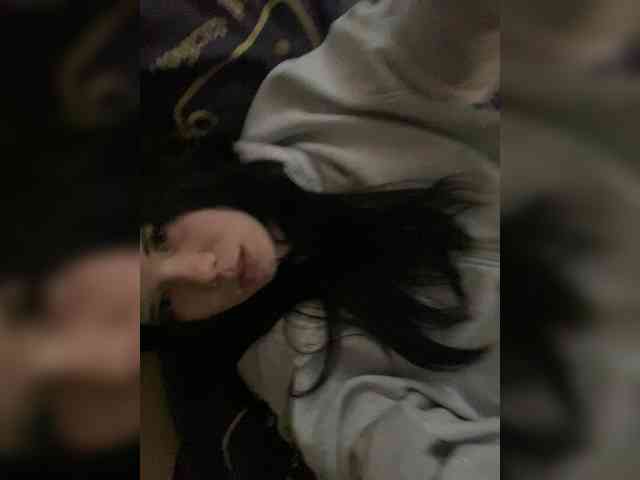 Assseldoni webcam