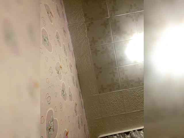 Assseldoni webcam