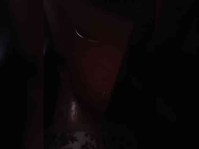 Assseldoni webcam