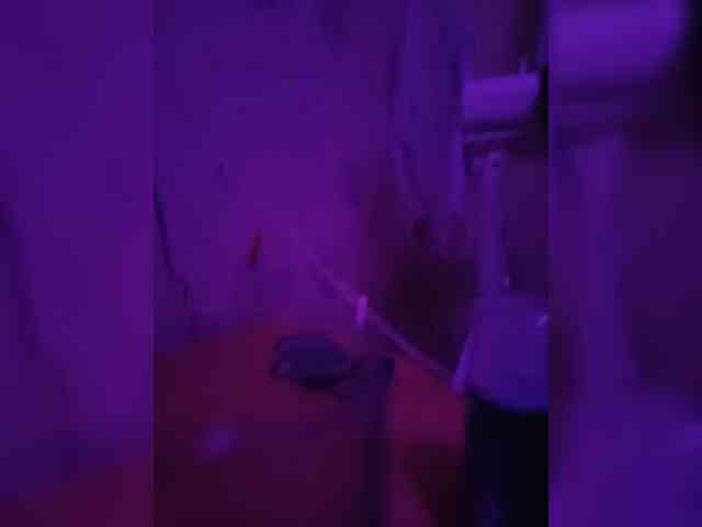 Assseldoni webcam