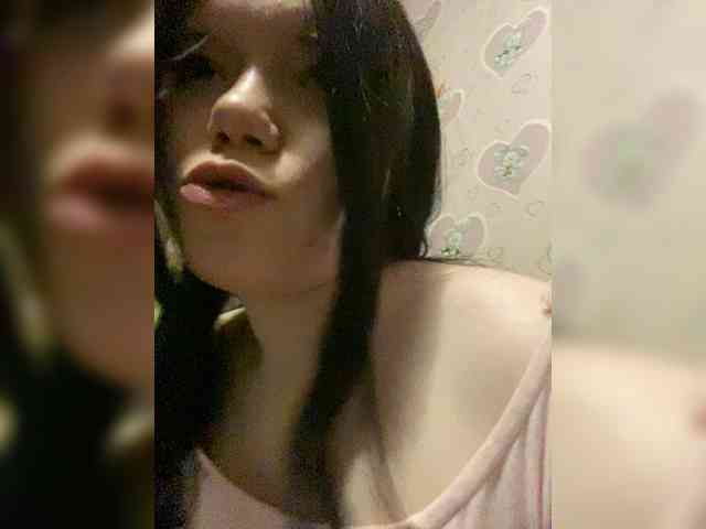 Assseldoni webcam
