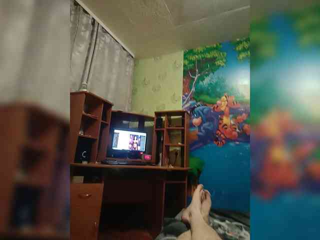 Assseldoni webcam