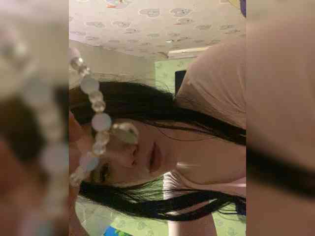 Assseldoni webcam