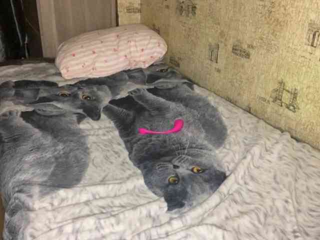 KiaraBasbas Sex Cam Show