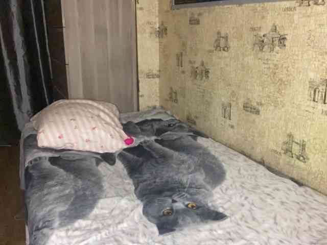KiaraBasbas Sex Cam Show