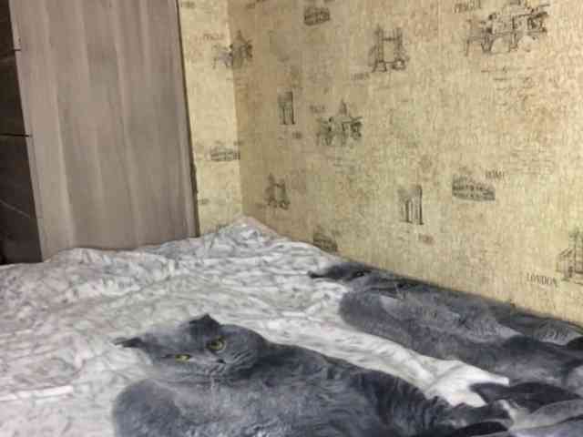 adult random cam KiaraBasbas
