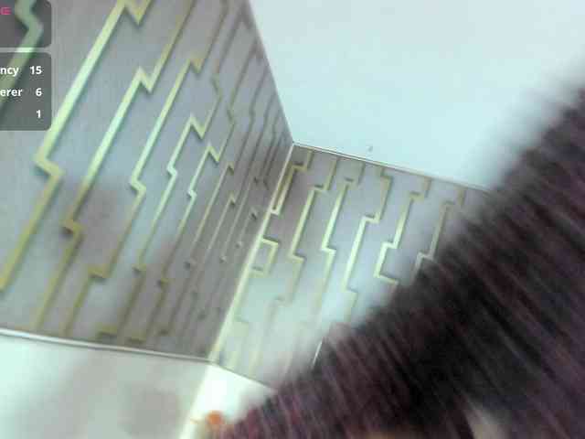 ashly-ruiz webcam