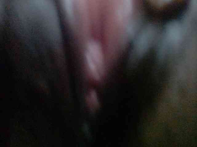 Pussyxwetx webcam