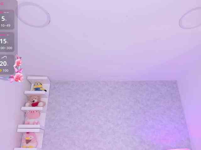 AdaraBell webcam