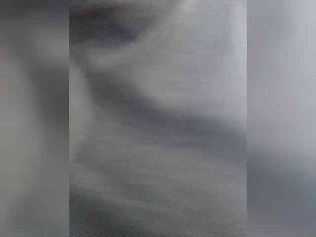 AdaraBell webcam