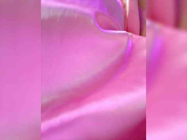 AdaraBell