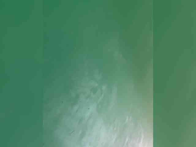 Agapiya4538 webcam
