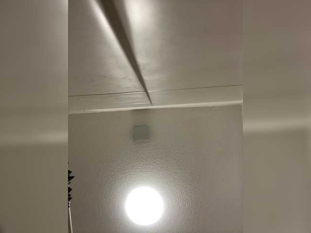 Duck999 live webcam show